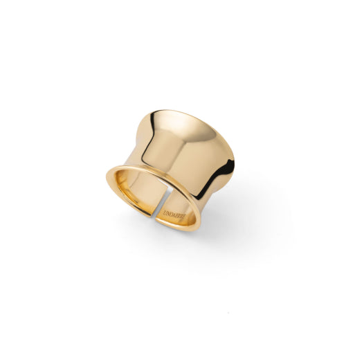Anello maxi fascia dorata 2643
