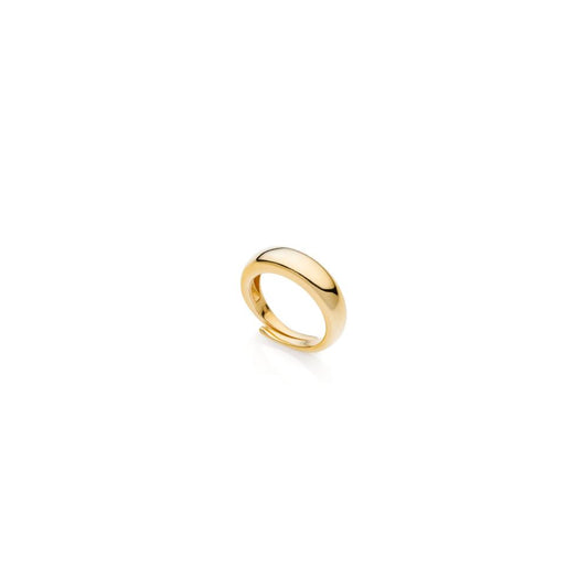 Anello in argento dorato Aria Ref. 6417